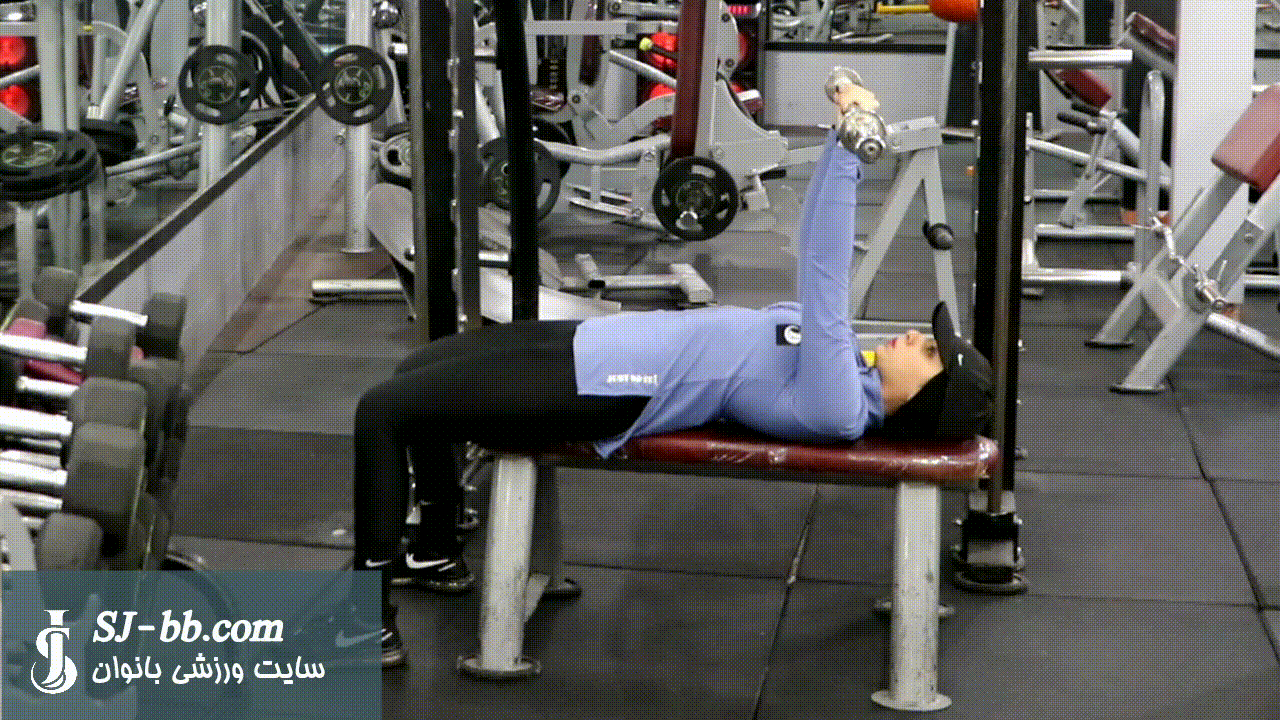 پشت بازو هالتر خوابیده پشت بازو هالتر خوابیده