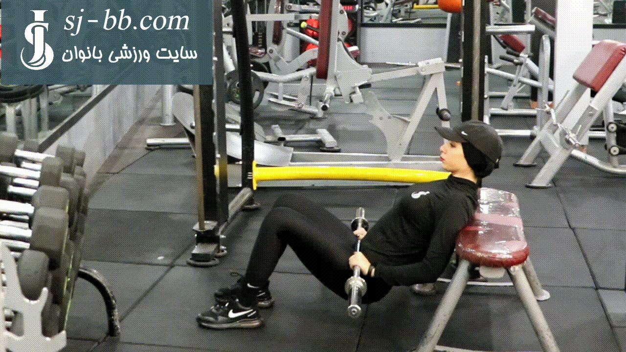 هیپ تراست هالتر هیپ تراست هالتر